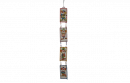 רביעית תמונות רביעית תמונות